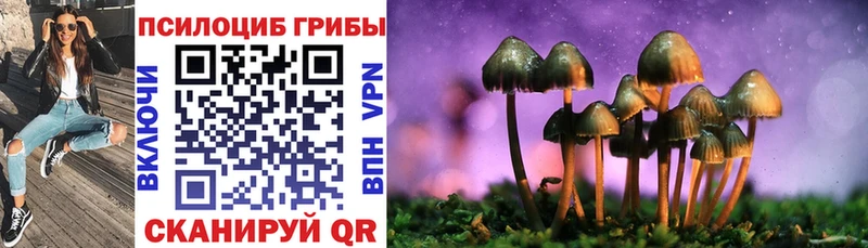 Псилоцибиновые грибы Psilocybine cubensis Первоуральск